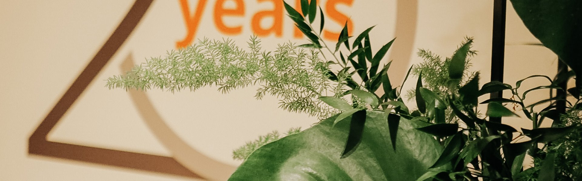 Greenery Wall Business Event Decor 